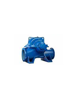 Standart Pump SDS / SDS-V Double Suction Pumps